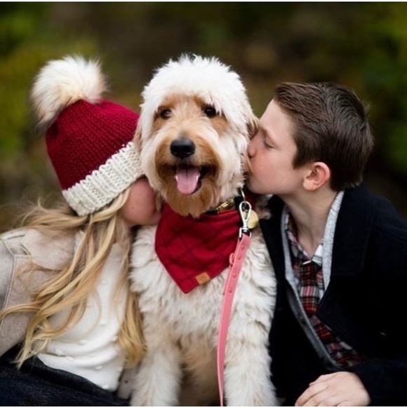 J.Crew Crewcut Girls' ruffleneck bobble sweater - Picture 8 of 9